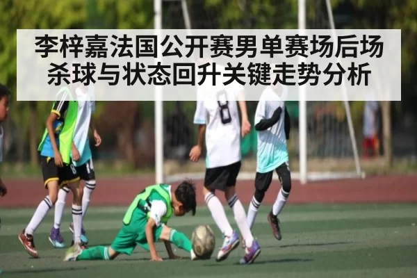 李梓嘉法国公开赛男单赛场后场杀球与状态回升关键走势分析
